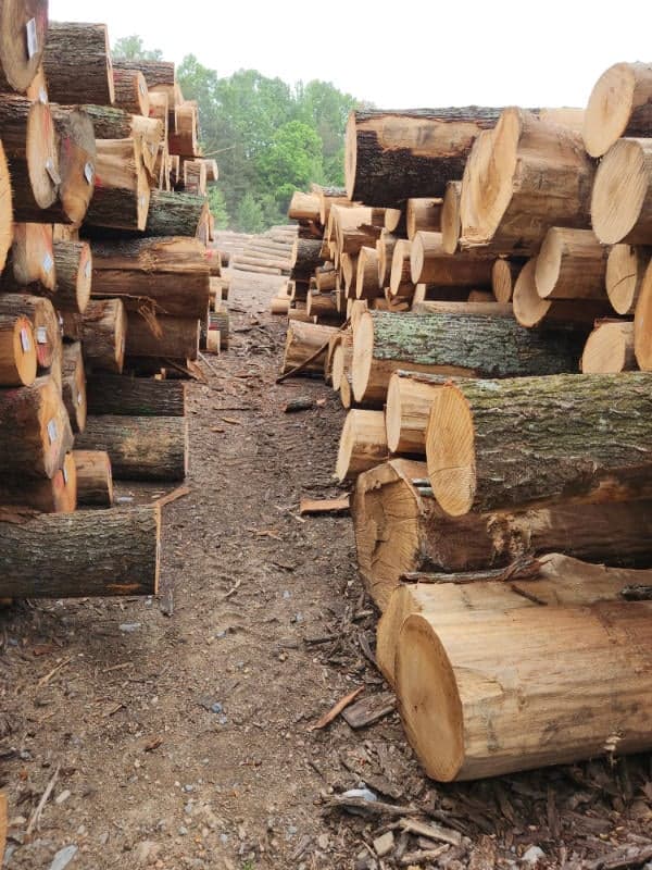A pile of logs.