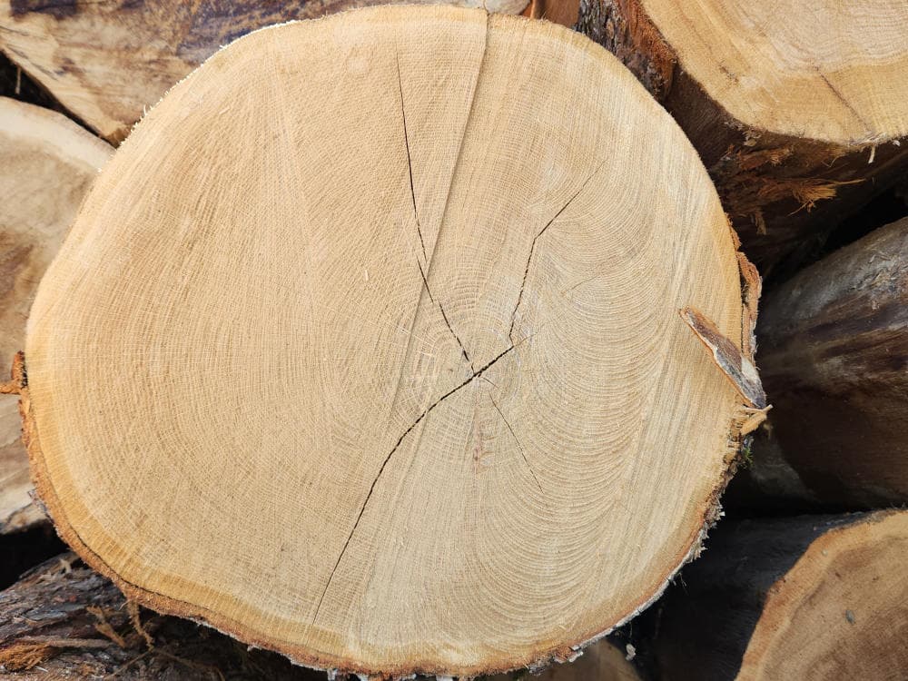 A close up image of a pile of logs.