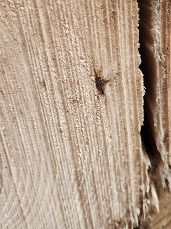 Close-up of rough, textured wood surface with visible grain lines and slight fraying at the edges.