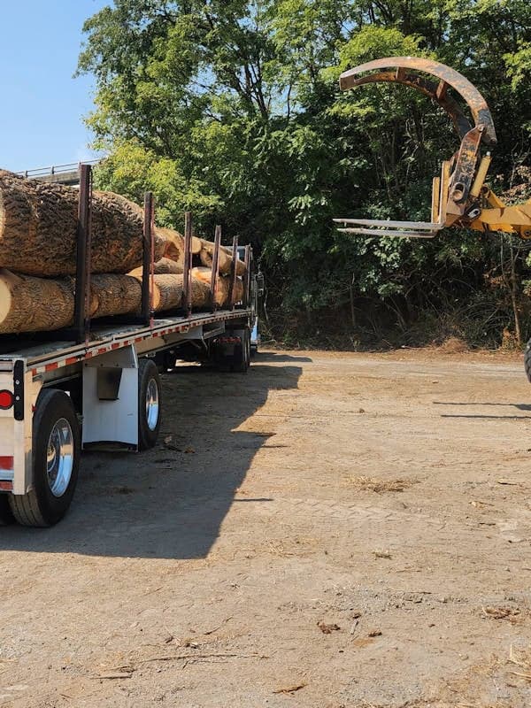 A truck loaded with large logs is parked on a dirt lot, while a mechanical claw is positioned nearby under trees.