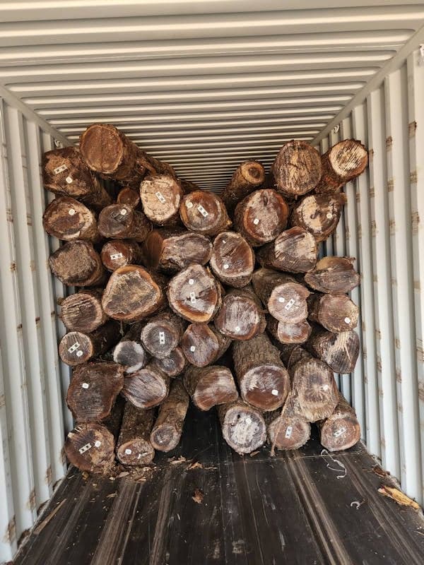 Stacked logs with numbered labels are arranged inside a metal shipping container.
