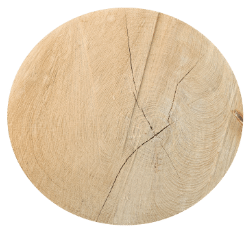 A circular piece of wood with a cut in it.