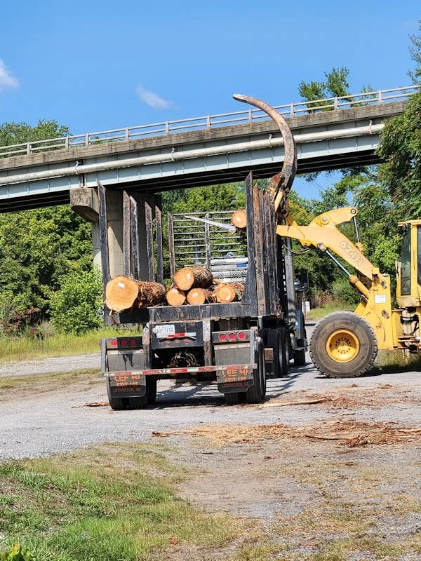 A yellow loader is moving logs onto a flatbed truck beneath an overpass on a sunny day.